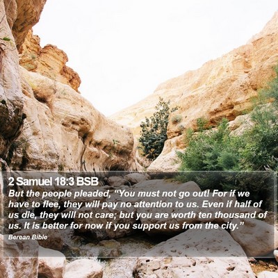 2 Samuel 18:3 BSB Bible Verse Image