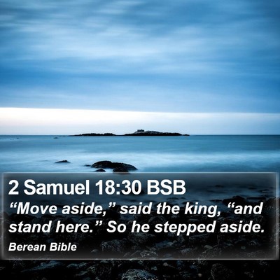 2 Samuel 18:30 BSB Bible Verse Image