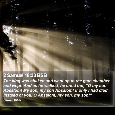 2 Samuel 18:33 BSB Bible Verse Image