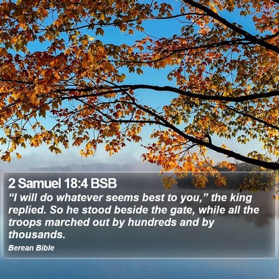 2 Samuel 18:4 BSB Bible Verse Image
