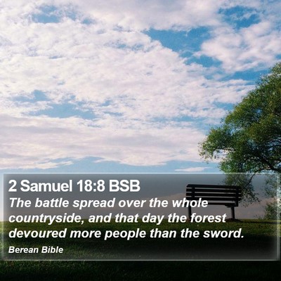 2 Samuel 18:8 BSB Bible Verse Image