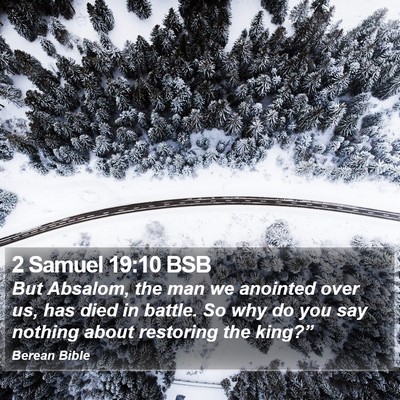 2 Samuel 19:10 BSB Bible Verse Image
