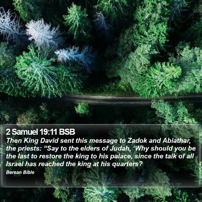 2 Samuel 19:11 BSB Bible Verse Image