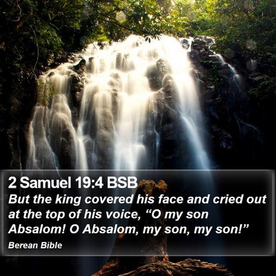 2 Samuel 19:4 BSB Bible Verse Image