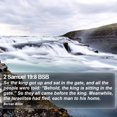 2 Samuel 19:8 BSB Bible Verse Image