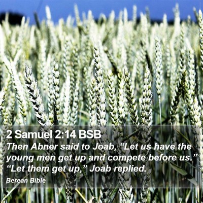 2 Samuel 2:14 BSB Bible Verse Image