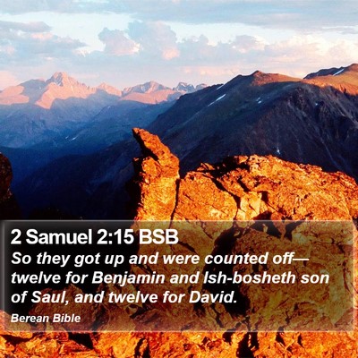 2 Samuel 2:15 BSB Bible Verse Image