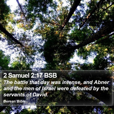 2 Samuel 2:17 BSB Bible Verse Image