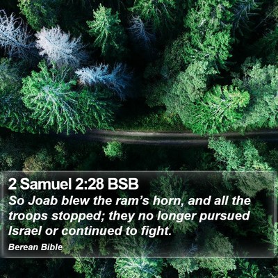2 Samuel 2:28 BSB Bible Verse Image