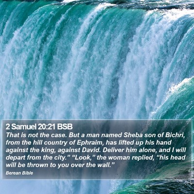 2 Samuel 20:21 BSB Bible Verse Image