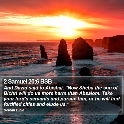 2 Samuel 20:6 BSB Bible Verse Image