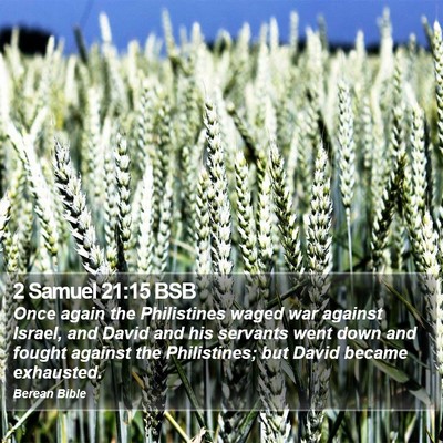2 Samuel 21:15 BSB Bible Verse Image