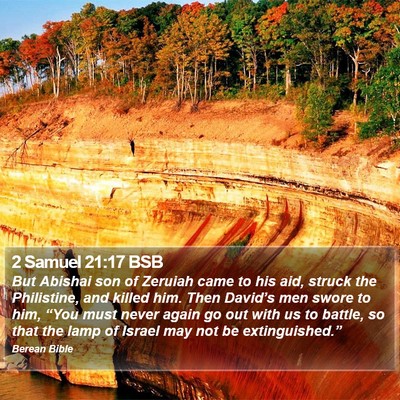 2 Samuel 21:17 BSB Bible Verse Image