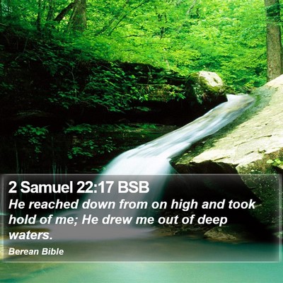 2 Samuel 22:17 BSB Bible Verse Image