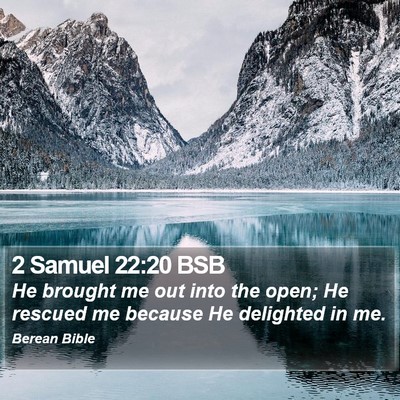 2 Samuel 22:20 BSB Bible Verse Image