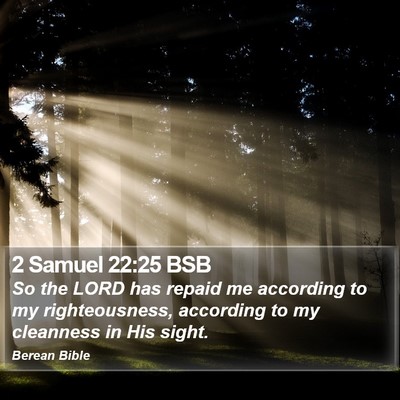 2 Samuel 22:25 BSB Bible Verse Image