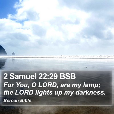 2 Samuel 22:29 BSB Bible Verse Image