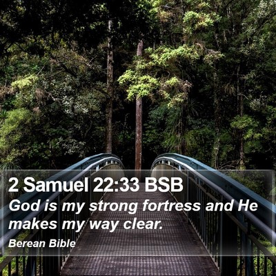 2 Samuel 22:33 BSB Bible Verse Image