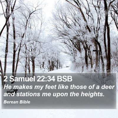 2 Samuel 22:34 BSB Bible Verse Image