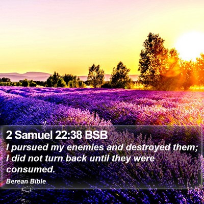 2 Samuel 22:38 BSB Bible Verse Image