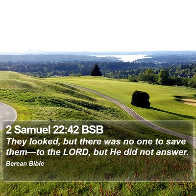 2 Samuel 22:42 BSB Bible Verse Image