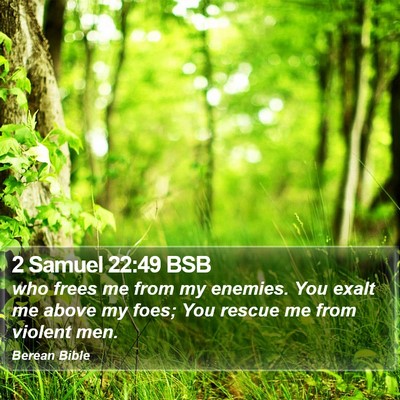 2 Samuel 22:49 BSB Bible Verse Image