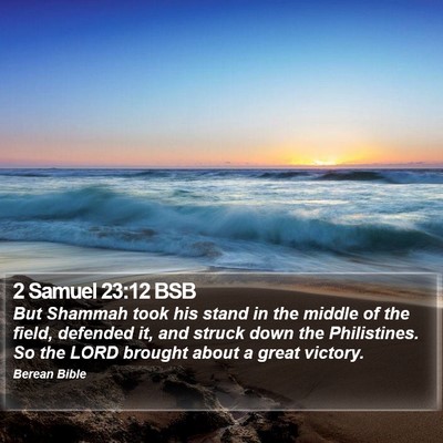 2 Samuel 23:12 BSB Bible Verse Image
