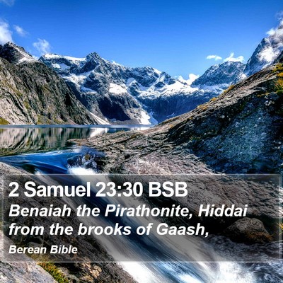 2 Samuel 23:30 BSB Bible Verse Image