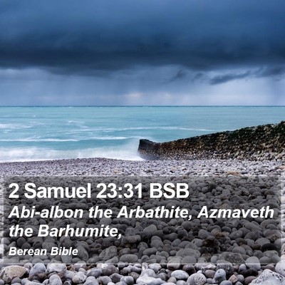 2 Samuel 23:31 BSB Bible Verse Image