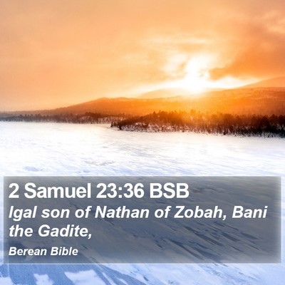 2 Samuel 23:36 BSB Bible Verse Image