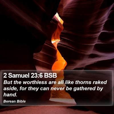 2 Samuel 23:6 BSB Bible Verse Image