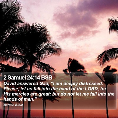 2 Samuel 24:14 BSB Bible Verse Image