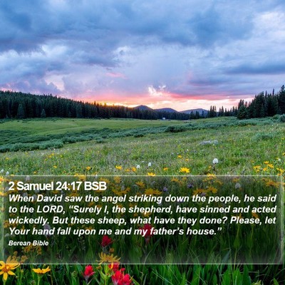 2 Samuel 24:17 BSB Bible Verse Image