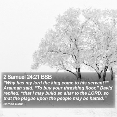 2 Samuel 24:21 BSB Bible Verse Image