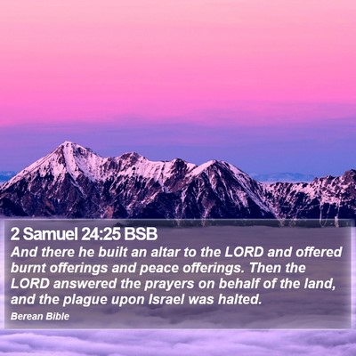2 Samuel 24:25 BSB Bible Verse Image