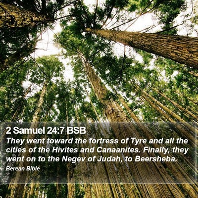 2 Samuel 24:7 BSB Bible Verse Image