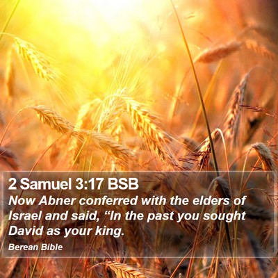 2 Samuel 3:17 BSB Bible Verse Image