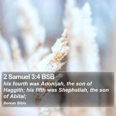 2 Samuel 3:4 BSB Bible Verse Image