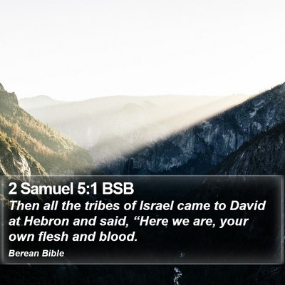 2 Samuel 5:1 BSB Bible Verse Image