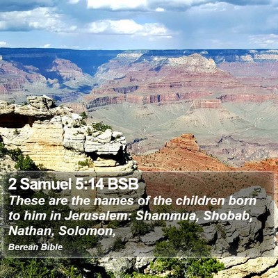 2 Samuel 5:14 BSB Bible Verse Image
