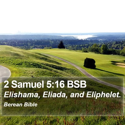 2 Samuel 5:16 BSB Bible Verse Image