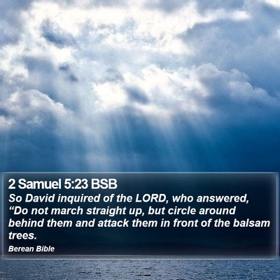 2 Samuel 5:23 BSB Bible Verse Image