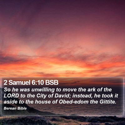2 Samuel 6:10 BSB Bible Verse Image