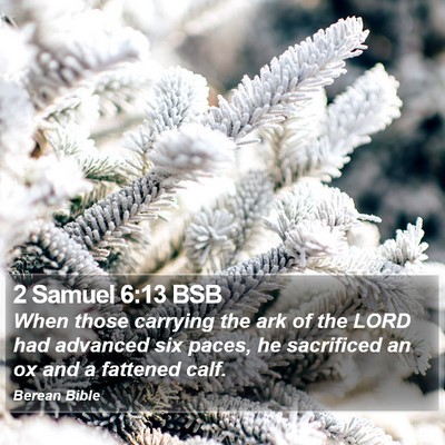 2 Samuel 6:13 BSB Bible Verse Image