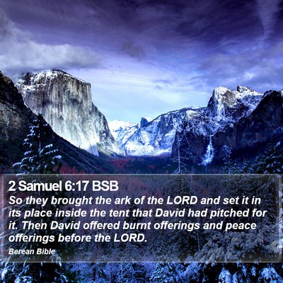 2 Samuel 6:17 BSB Bible Verse Image