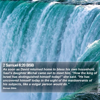 2 Samuel 6:20 BSB Bible Verse Image