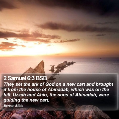 2 Samuel 6:3 BSB Bible Verse Image