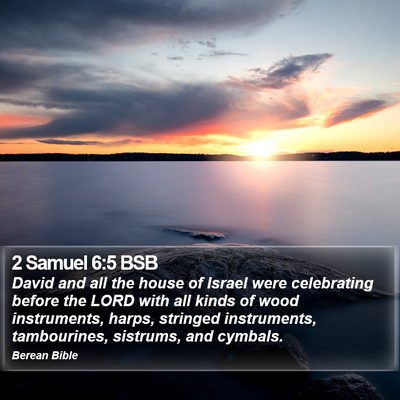 2 Samuel 6:5 BSB Bible Verse Image