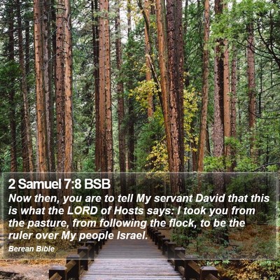 2 Samuel 7:8 BSB Bible Verse Image