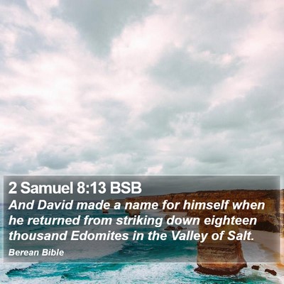 2 Samuel 8:13 BSB Bible Verse Image